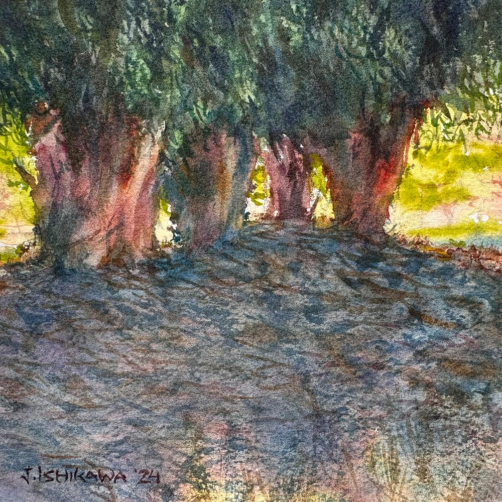 Eucalyptus Grove