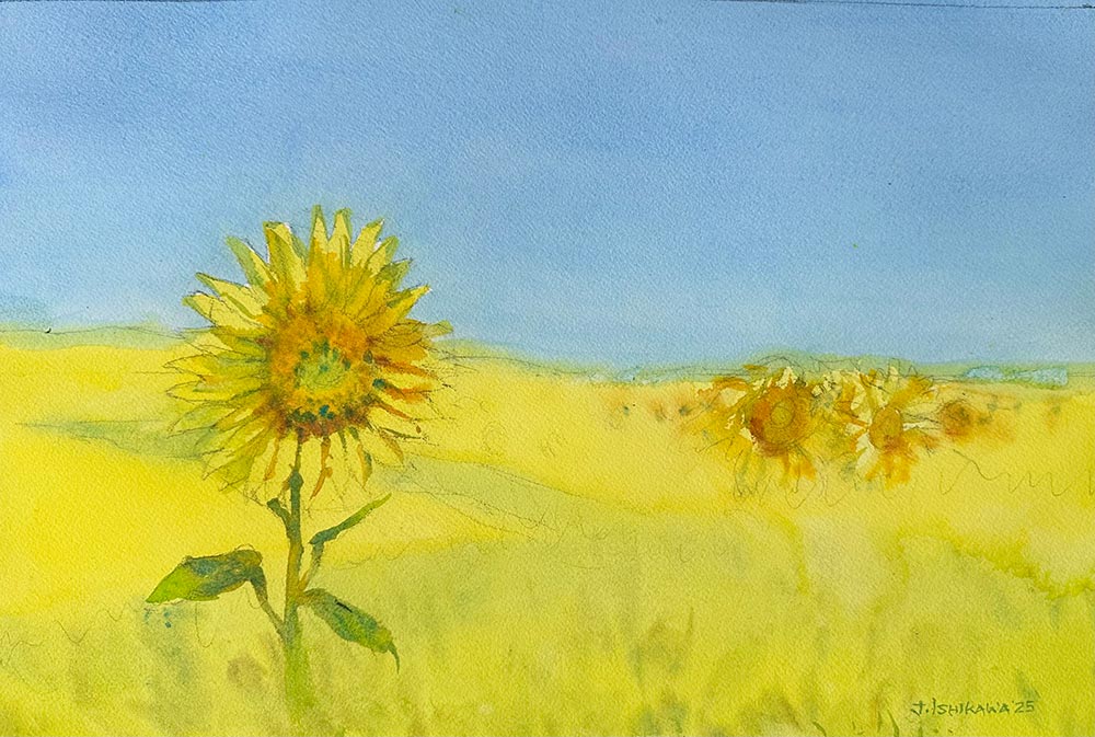 Sunflowers