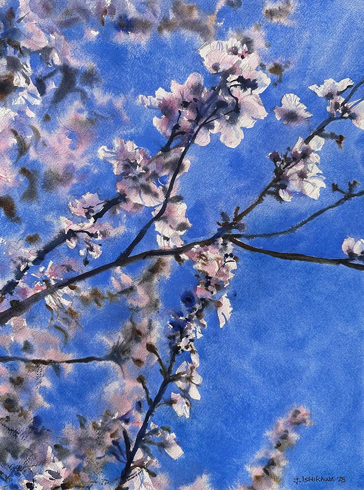 Spring Blossoms