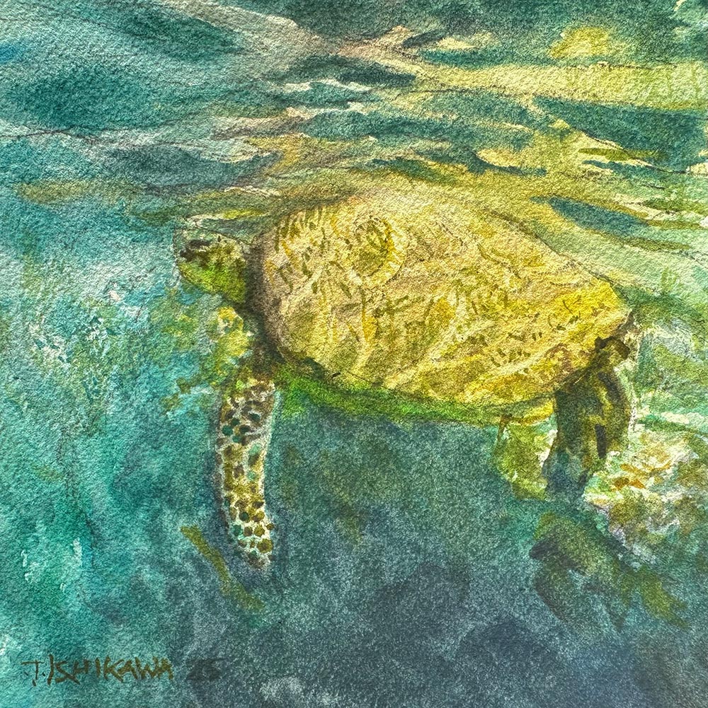 Honu Rising