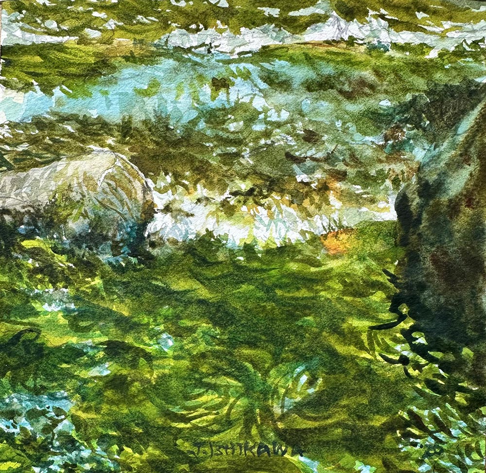 Rapids