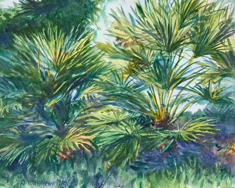 Evening Palms