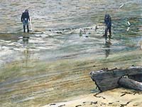 Low Tide Shrimpers