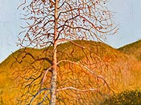 Sunset Tree Sketch