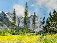 El Capitan Meadow
