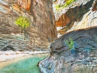 Around the Bend (Zion)